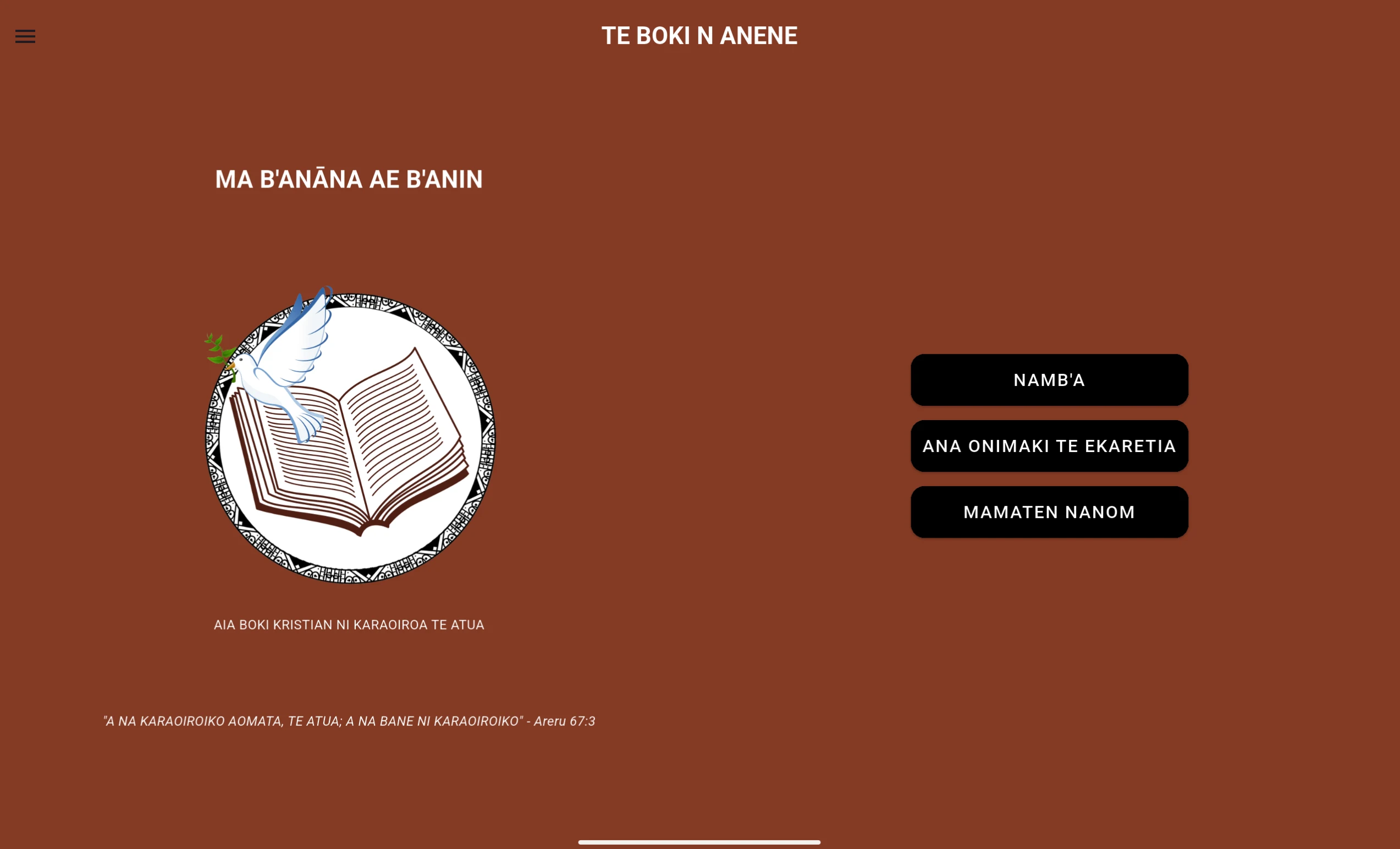 Boki N Anene screenshot